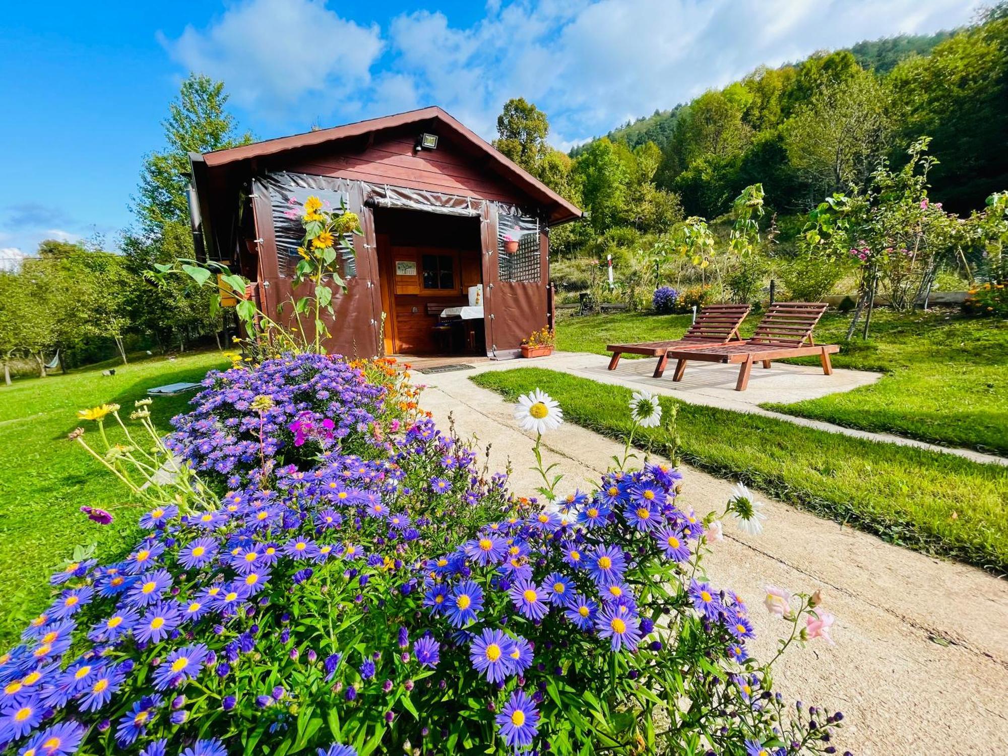 Cottage La Sierra With Jacuzzi Korenica Bagian luar foto